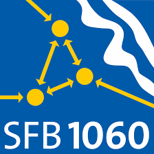 SFB