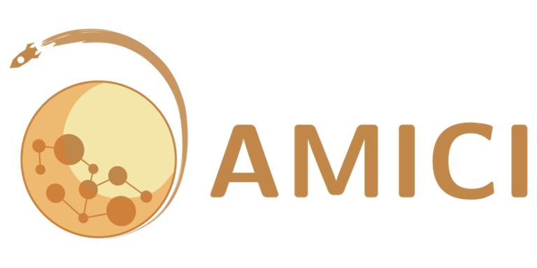 AMICI_logo