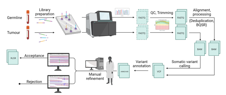 A typical processing pipeline from blood sample to somatic variant list.