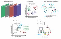 Bio Clustering