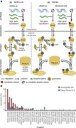 Individualization of the Model with Genomic and Transcriptomic Data