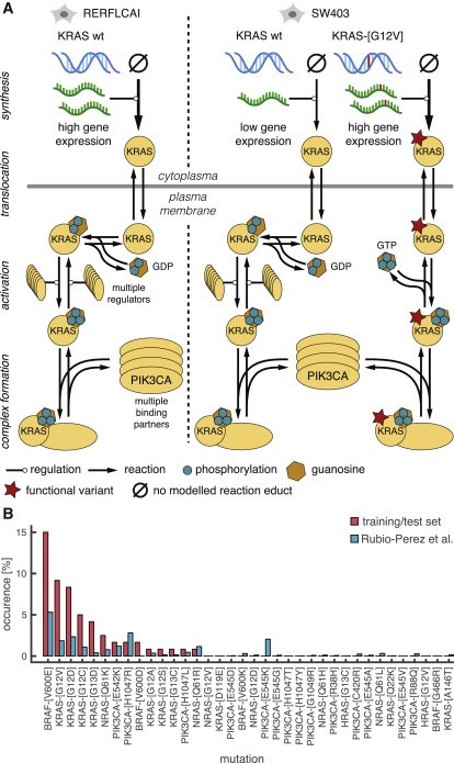 Individualization of the Model with Genomic and Transcriptomic Data