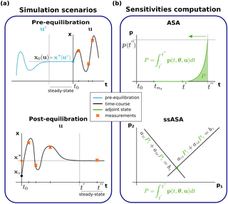 Steady-state simulation scenarios, and computation methods for ASA