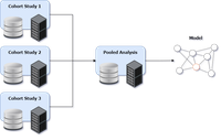 Federated Analysis